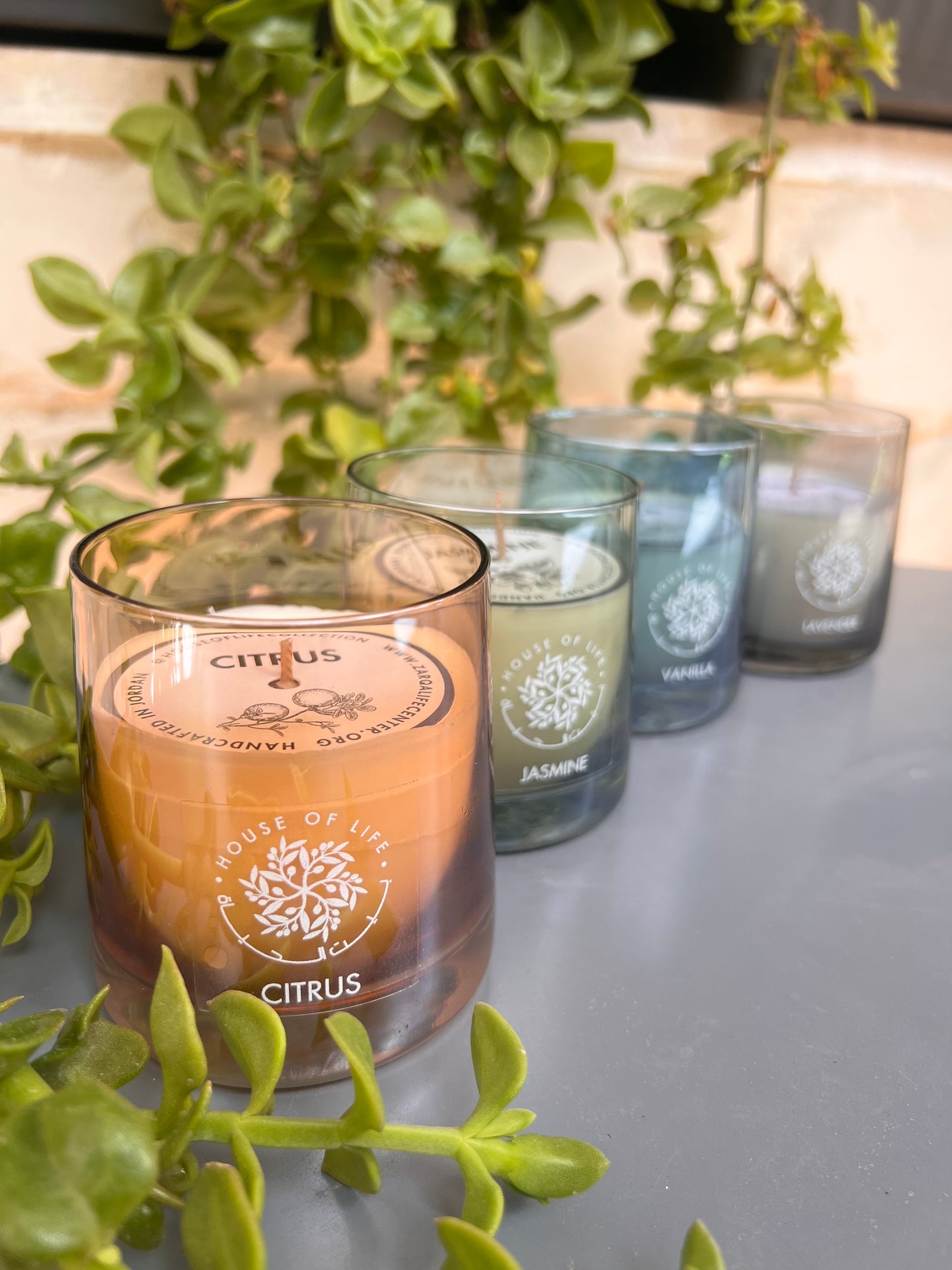 Set of 4 Scented Candles Gift Set: Jasmine, Lavender, Vanilla, Citrus