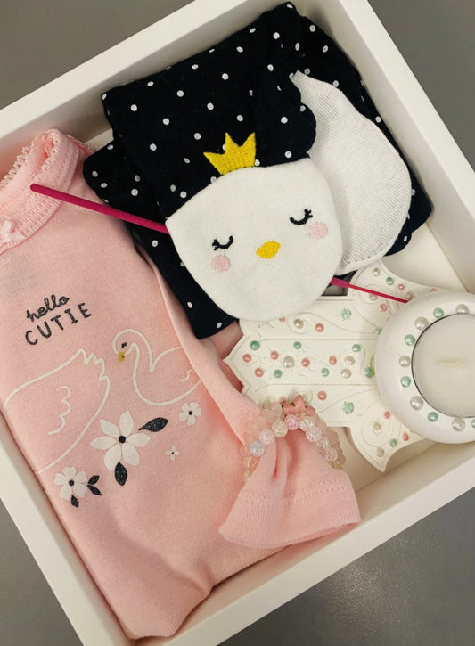 Baby Girl Gift Box