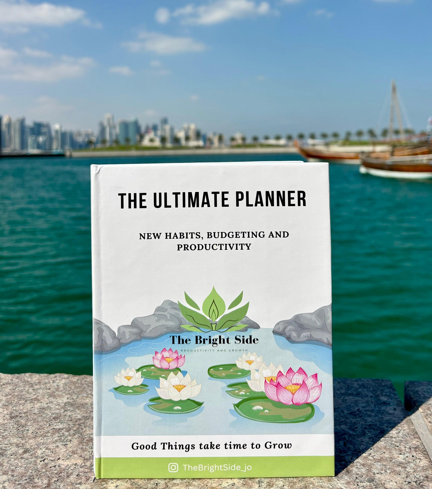 Ultimate Planner, From The Bright Side