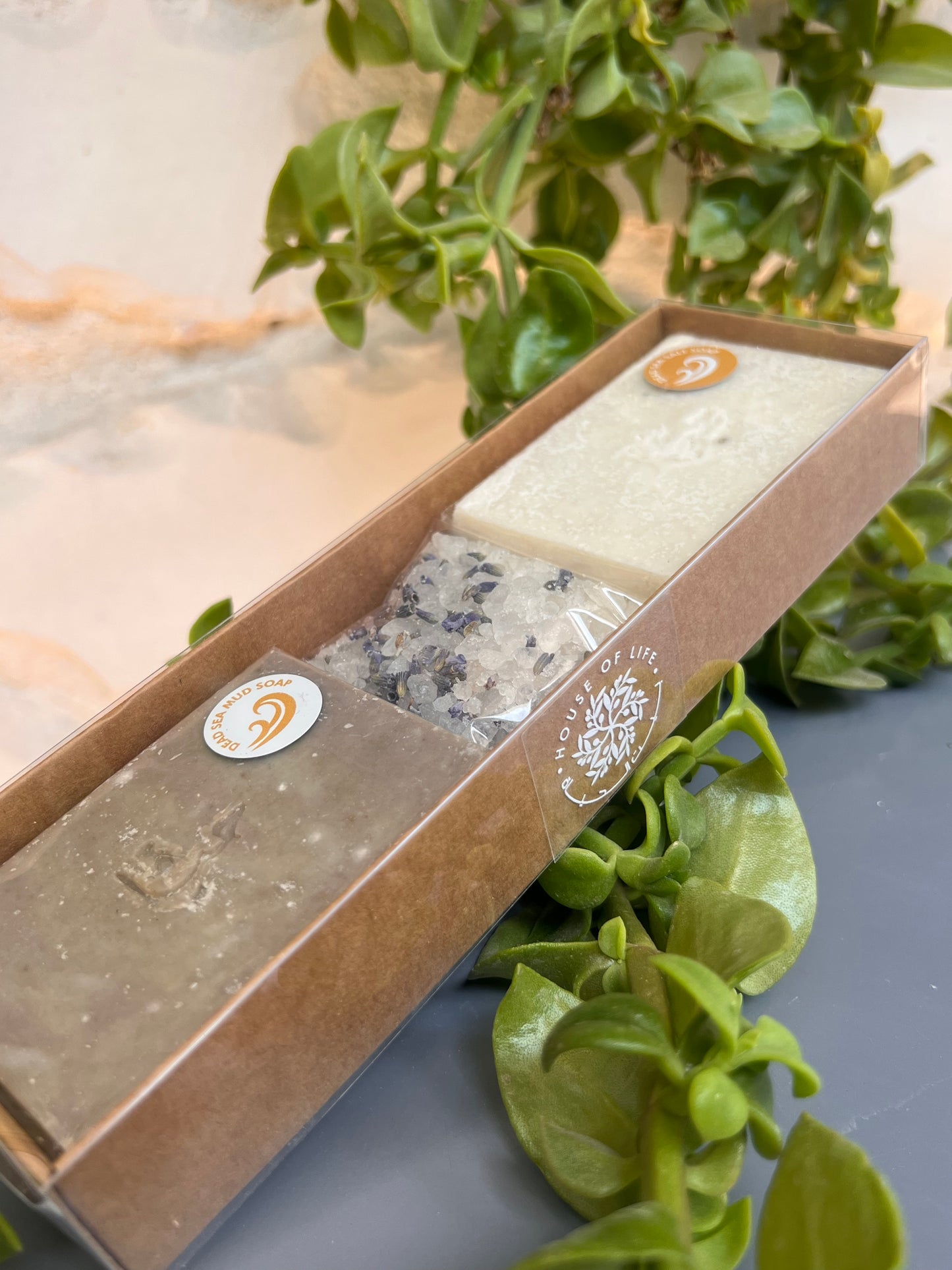 Dead Sea Salt & Mud Gift Set