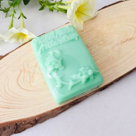 Tea tree oil soap