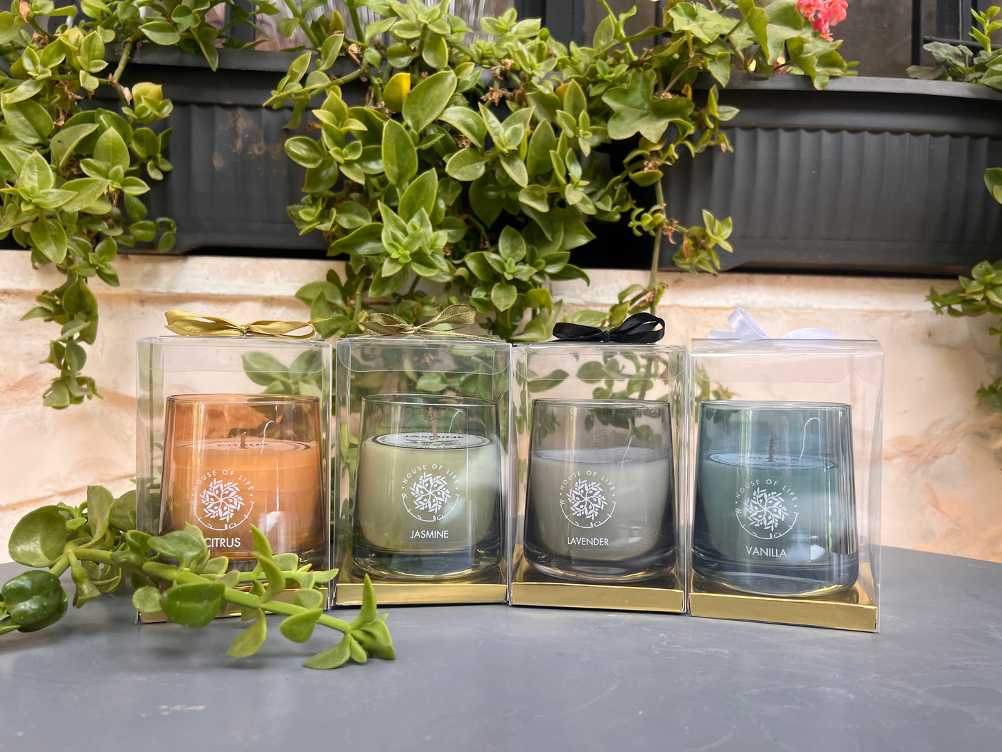 Set of 4  Scented Candles Gift Set: Jasmine, Lavender, Vanilla, Citrus